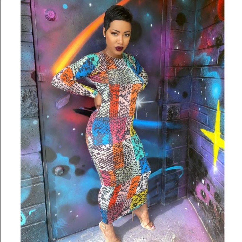 Colorblock snake print dress